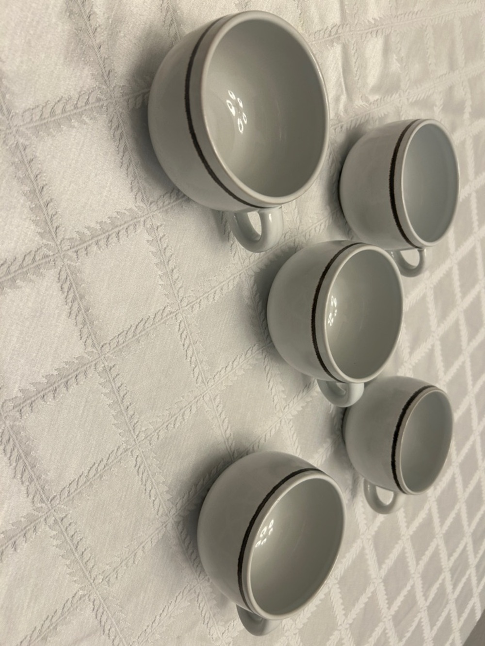 Denby White Ceramic Mugs with Subtle Brown Rim - Set of 5